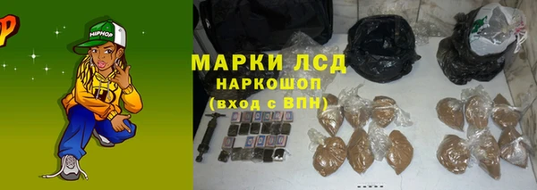 сатива Алзамай