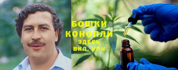 гидра Алексин