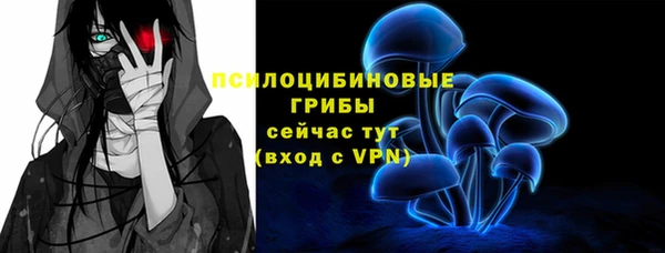 гидра Алексин